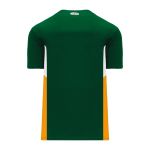 BA1763 One Button Baseball Jersey - Dark Green/Gold/White - Back