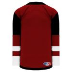 H550B Pro Hockey Jersey - 2017 Arizona Av Red - Back