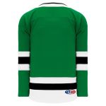H550B Pro Hockey Jersey - 2017 Dallas Kelly Green - Back