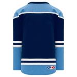 H550B Pro Hockey Jersey - New 2010 Florida 3rd Navy - Back