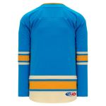 H550B Pro Hockey Jersey - New 2016 St. Louis Winter Classic Blue - Back