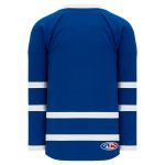 H550B Pro Hockey Jersey - New 2011 Toronto Royal - Back