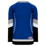 H550C Pro Hockey Jersey - New 2009 Tampa Bay 3rd Royal - Back