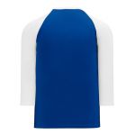 S1846 Soccer Jersey - Royal/White - Back