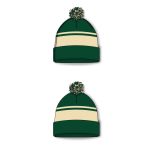 Athletic Knit A1830-563 Hockey Toque - Minnesota Dark Green - Full