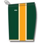 Athletic Knit BS1735-439 Pro Basketball Shorts - Dark Green/Gold/White - Left