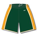 Athletic Knit BS1735-439 Pro Basketball Shorts - Dark Green/Gold/White - Front