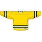 Athletic Knit H550B-MIC788B Pro Hockey Jersey - 2011 Michigan Maize - Rear