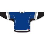 Athletic Knit H550C-TAM896C Pro Hockey Jersey - 2009 Tampa Bay 3rd Royal - Rear