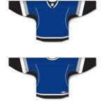 Athletic Knit H550C-TAM896C Pro Hockey Jersey - 2009 Tampa Bay 3rd Royal - Full