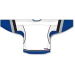 Athletic Knit H550C-TAM897C Pro Hockey Jersey - 2009 Tampa Bay 3rd White - Rear