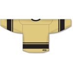 Athletic Knit H6400-282 League Hockey Jersey - Vegas/Black - Rear