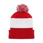 A1830 Hockey Toque - Detroit Red - Front