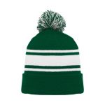 A1830 Hockey Toque - Dark Green/White - Front