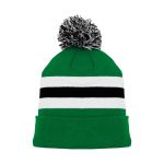 A1830 Hockey Toque - 2013 Dallas Kelly Green - Front