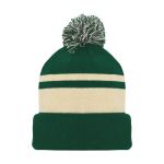 Athletic Knit A1830-563 Hockey Toque - Minnesota Dark Green - Primary