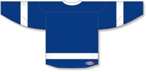 Athletic Knit H550B-TAM488B Pro Hockey Jersey - 2011 Tampa Bay Royal - Rear