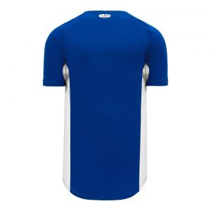 BA1890 Full Button Baseball Jersey - Royal/White - Back