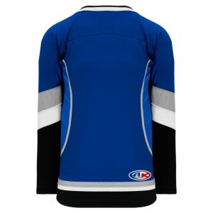 H550C Pro Hockey Jersey - New 2009 Tampa Bay 3rd Royal - Back
