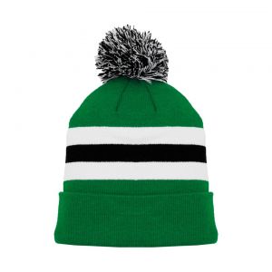 A1830 Hockey Toque - 2013 Dallas Kelly Green - Front