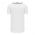 BA5500 Full Button Baseball Jersey - Detroit White/Navy - Back