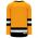H6500 League Hockey Jersey - Gold/White/Black - Back
