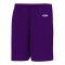 Athletic Knit VS1300-010 Volleyball Shorts - Purple - Primary