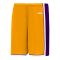 BS1735 Pro Basketball Shorts - Gold/Purple/White - Front
