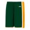 BS1735 Pro Basketball Shorts - Dark Green/Gold/White - Front