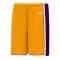 Athletic Knit BS1735-435 Pro Basketball Shorts - Gold/Purple/White - Primary