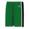 Athletic Knit BS1735-440 Pro Basketball Shorts - Kelly/Black/White - Primary